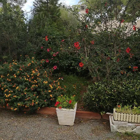 Manuela וילה
